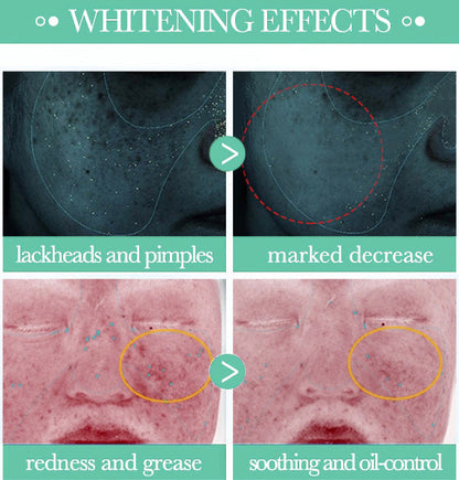 Final 3 Hours: 80% OFF🔥 Sebreght™ Mugwort Calming Clay Mask